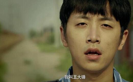 王大锤的幸福生活无广告版