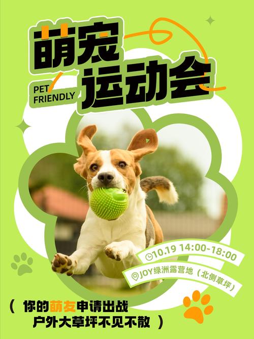 奔跑吧狗狗