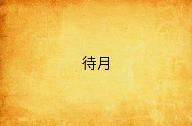 待月小说破解版