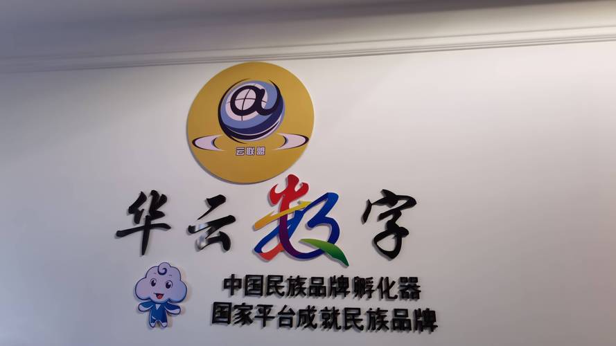 华云数字云元