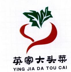大头菜农场v1.0