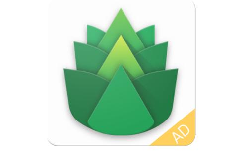 绿叶加速器最新版