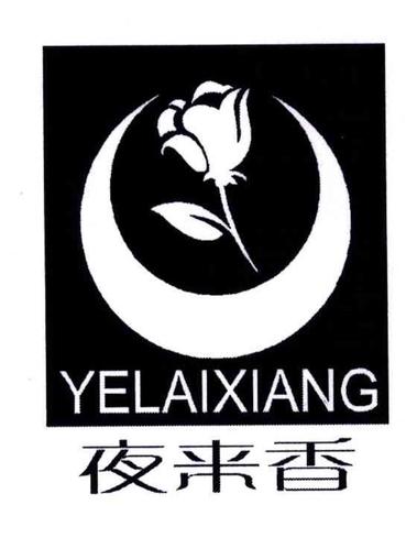 夜来香下载截图