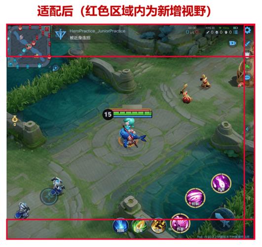 2020王者荣耀全图视野辅助器