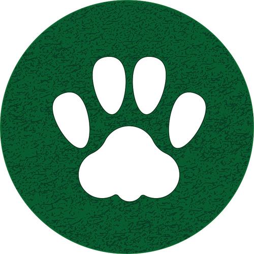 猫爪