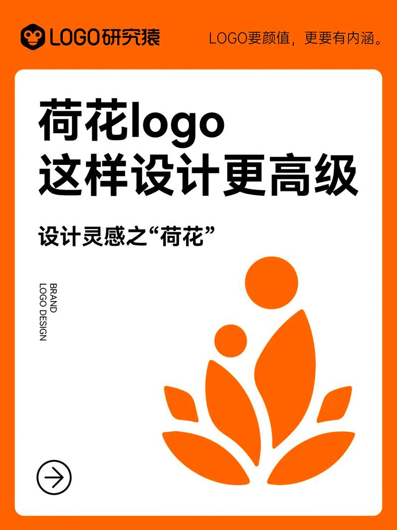 荷花网赚钱版v1.0.0游戏截图