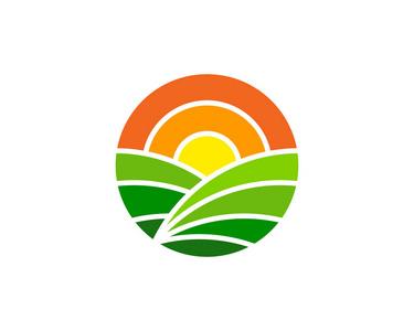 阳光农场赚钱