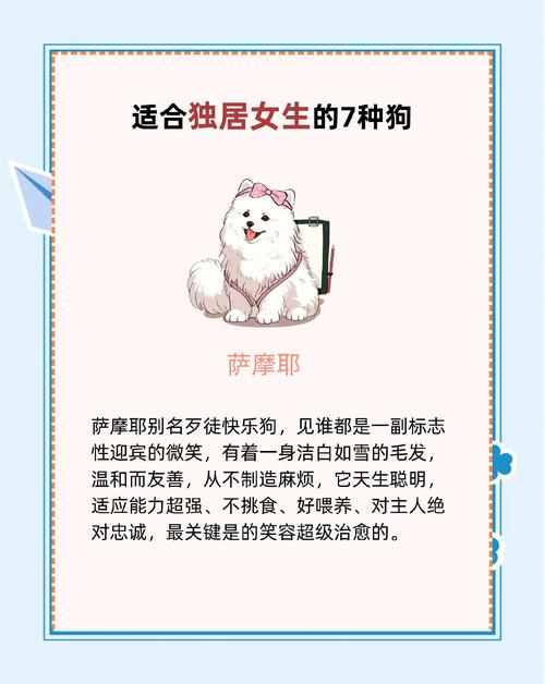 七狗小说截图