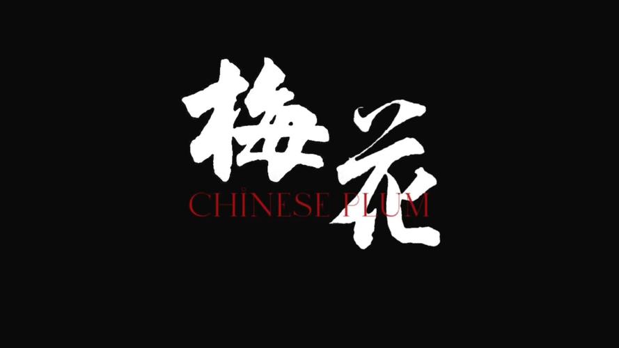梅花视频9.0.9完美去广告破解版