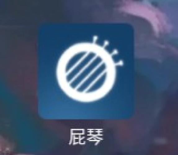 屁琴软件