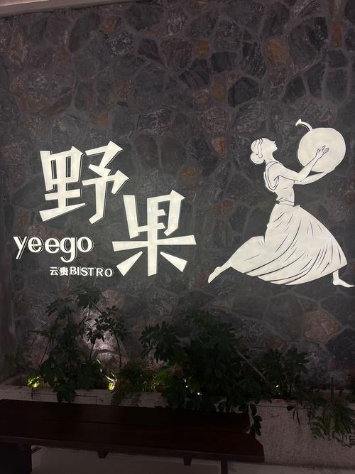 野果阅读去广告版