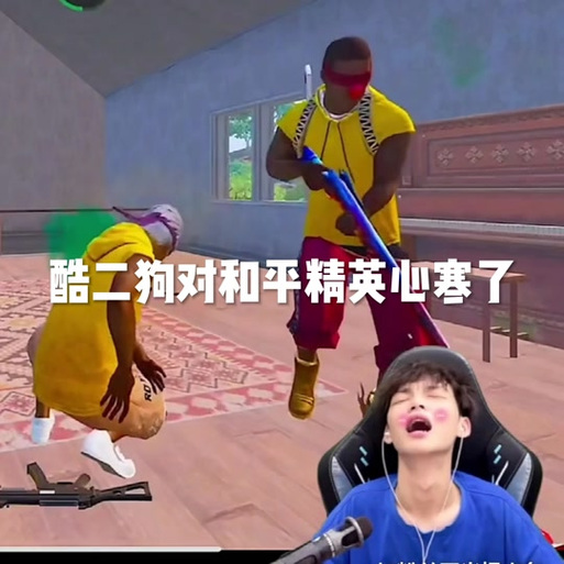 和平精英神烦狗辅助
