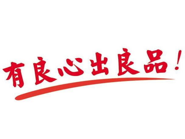 良心转