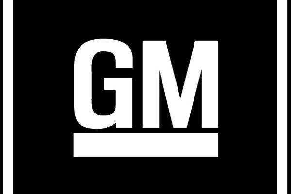 gm直装2.3.1版本