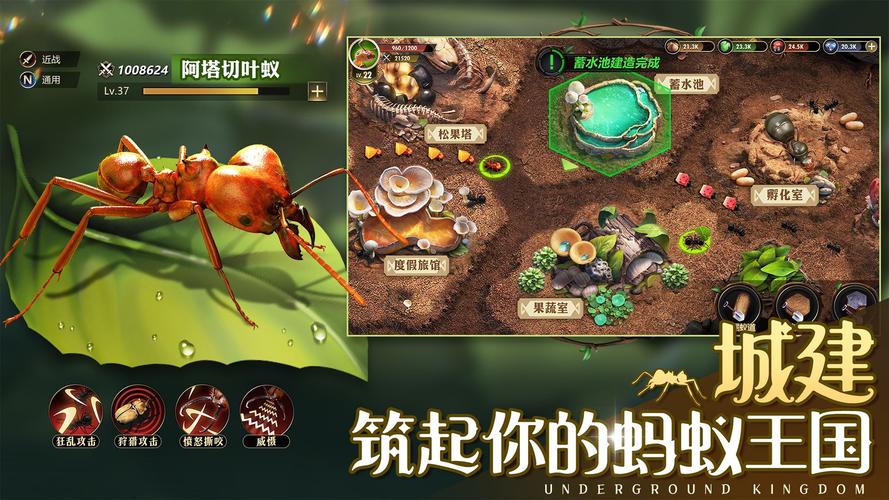 小小蚁国辅助器v1.12