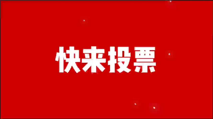 看看集投票平台