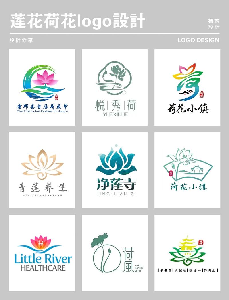 荷花平台赚钱版v1.0.0截图