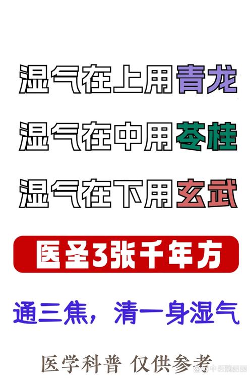 全民医圣截图