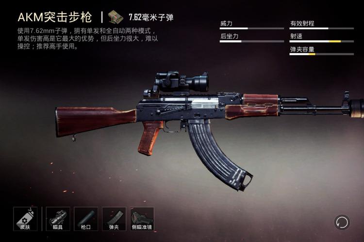和平精英AKM辅助