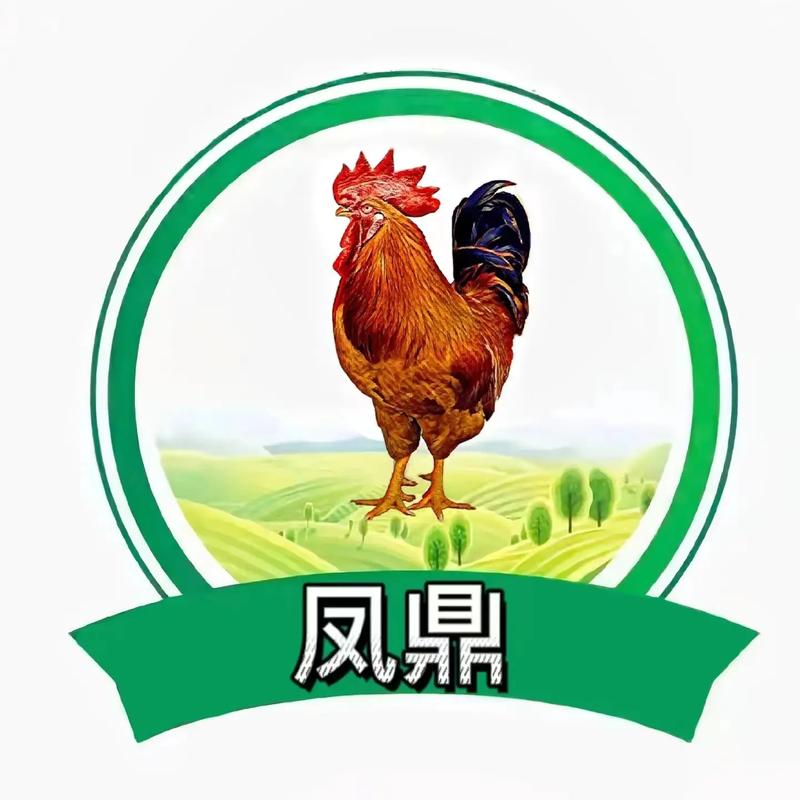 鸡仙rights reserved