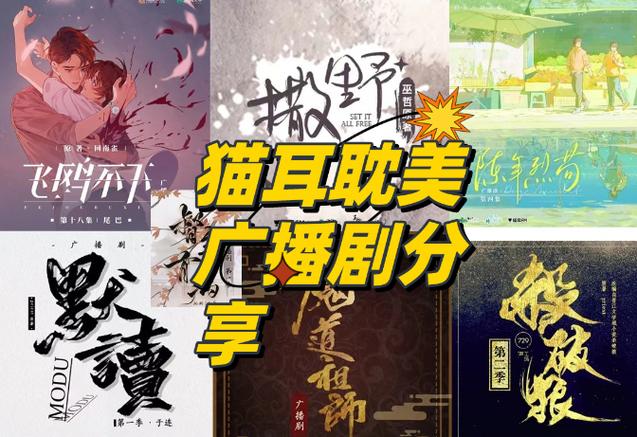 耽美小说广播剧安卓版截图