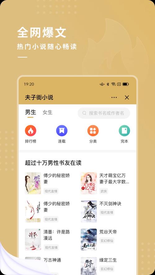 夫子街小说