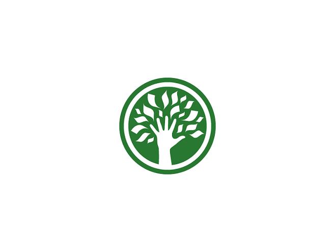 金钱树花园