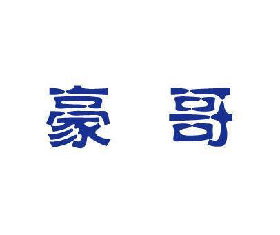 豪哥科技截图