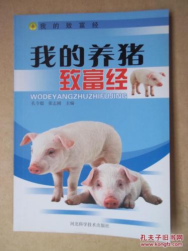 致富经养猪极速版