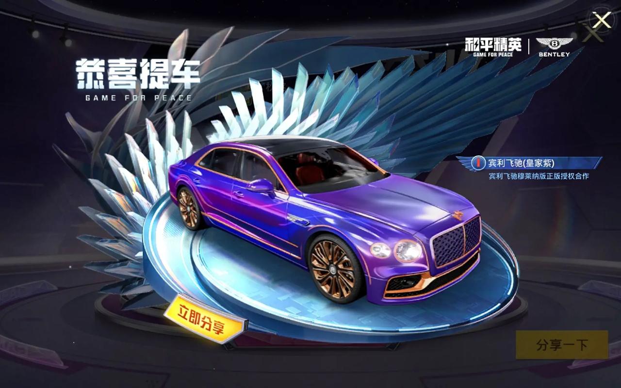 和平精英宾利辅助提卡