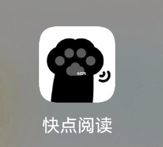 快点阅读3.1破解版缩略图