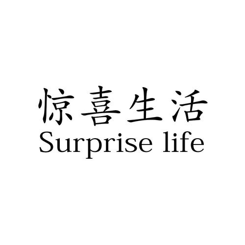 惊喜生活截图