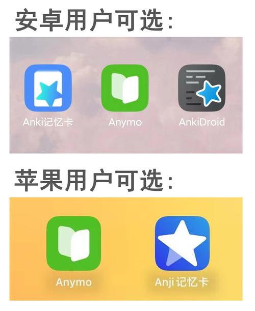 ANYpocket官方APP