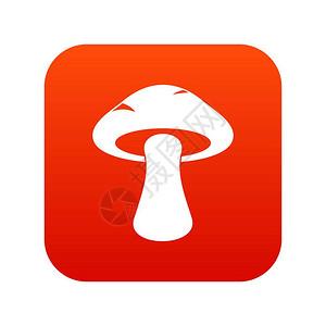 小蘑菇APP