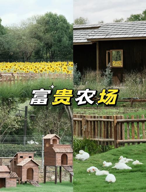 富贵农场极速版截图