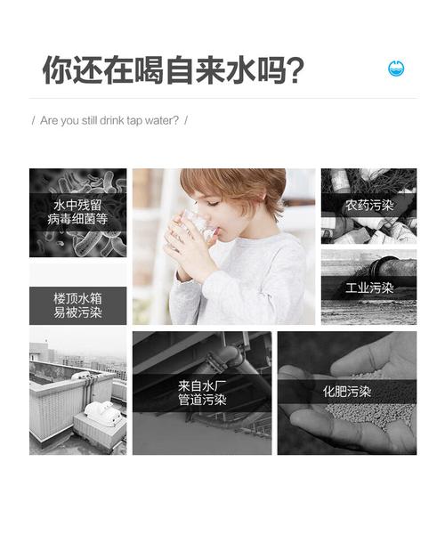 白开水4.1国体直装(2.4.4).apk