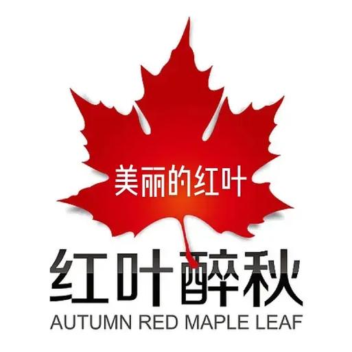 红叶小说截图