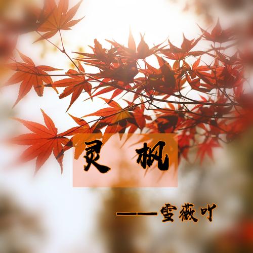 灵枫截图