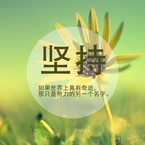 坚持和努力
