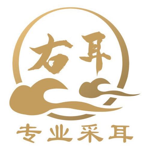 右耳APP