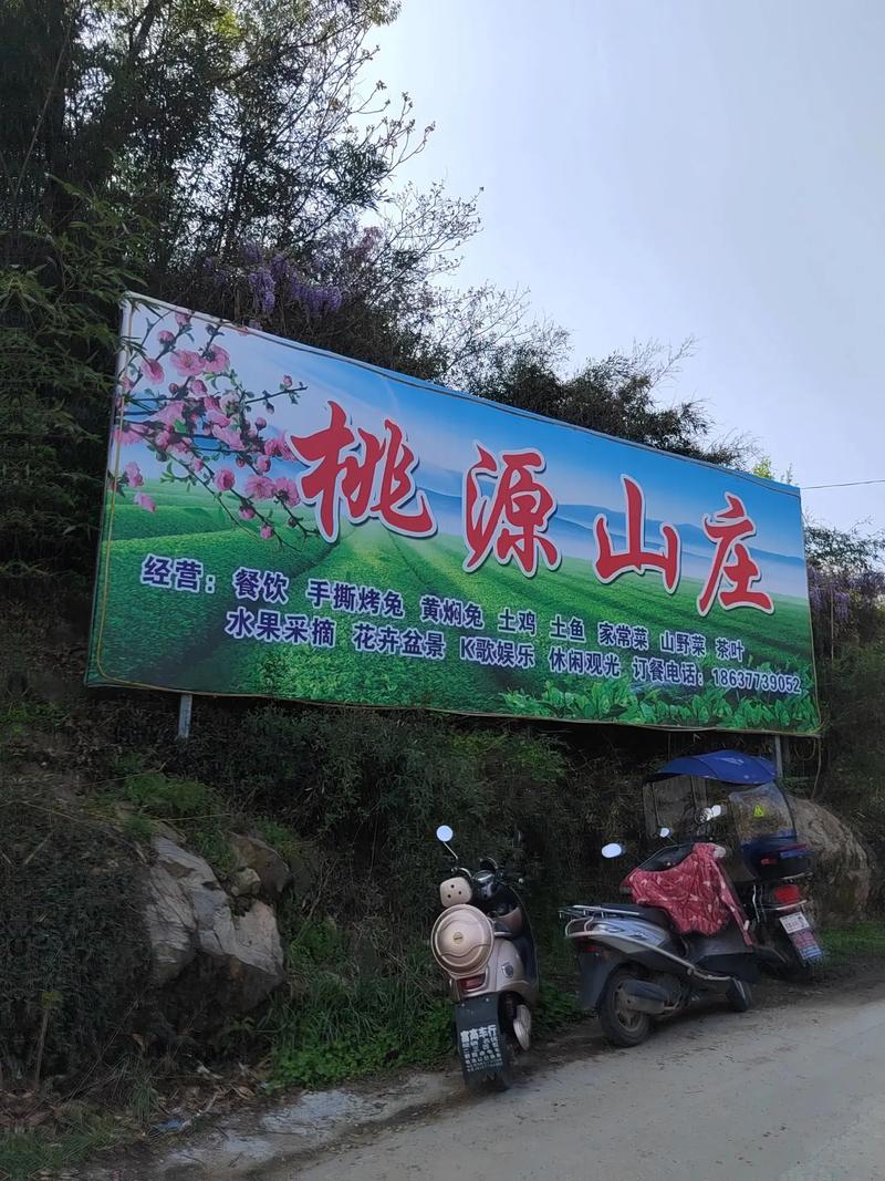 桃源山庄红包版