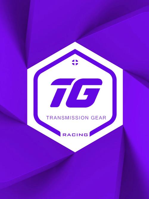 TG框架澈澈框架v8.4