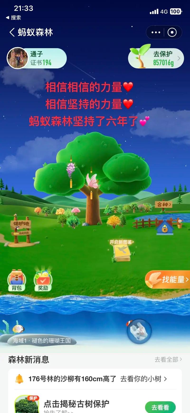 蚂蚁种树缩略图