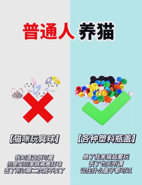 玖玖猫
