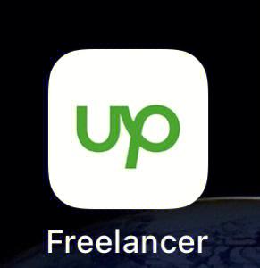 Freelancer