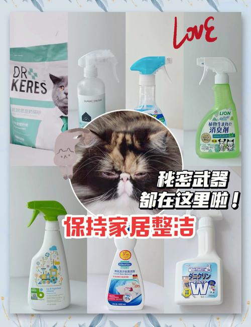 养猫达人极速版
