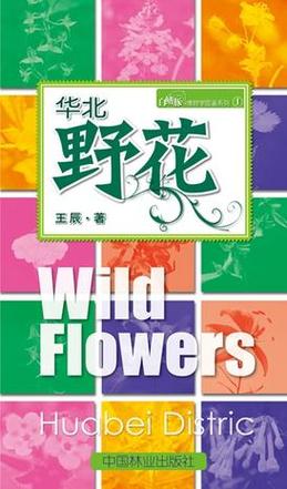野花小说网免费版缩略图