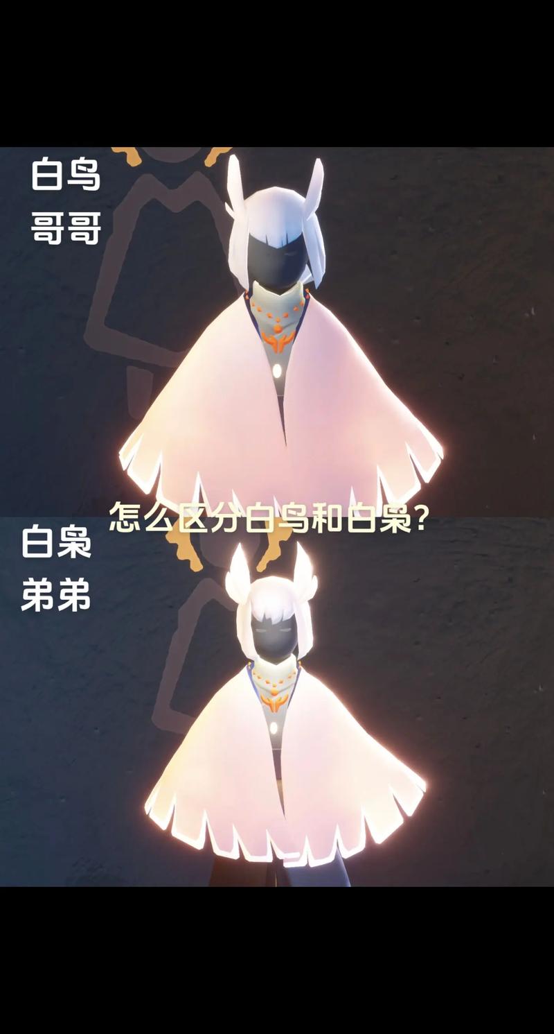 光遇脚本白鸟可见截图