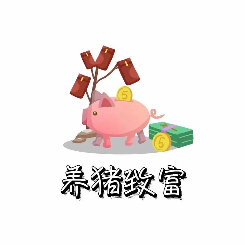 养猪日记赚金版