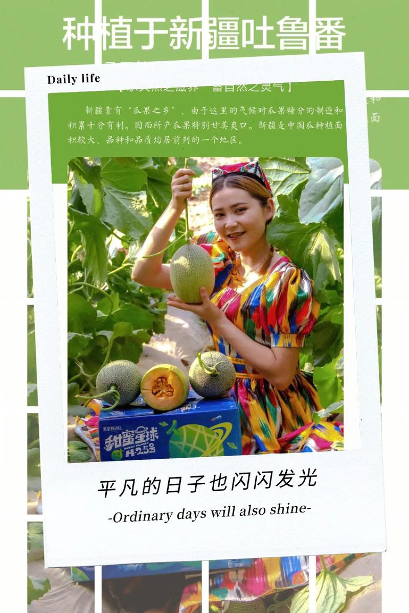 哈密瓜赚钱v1.0